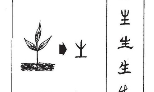 蜂蜜盐水的功效与作用禁忌-权威蜂蜜盐水的比例平台,分享专业蜂蜜盐水的功效与作用及禁忌知识_蜂蜜盐水的功效与作用网